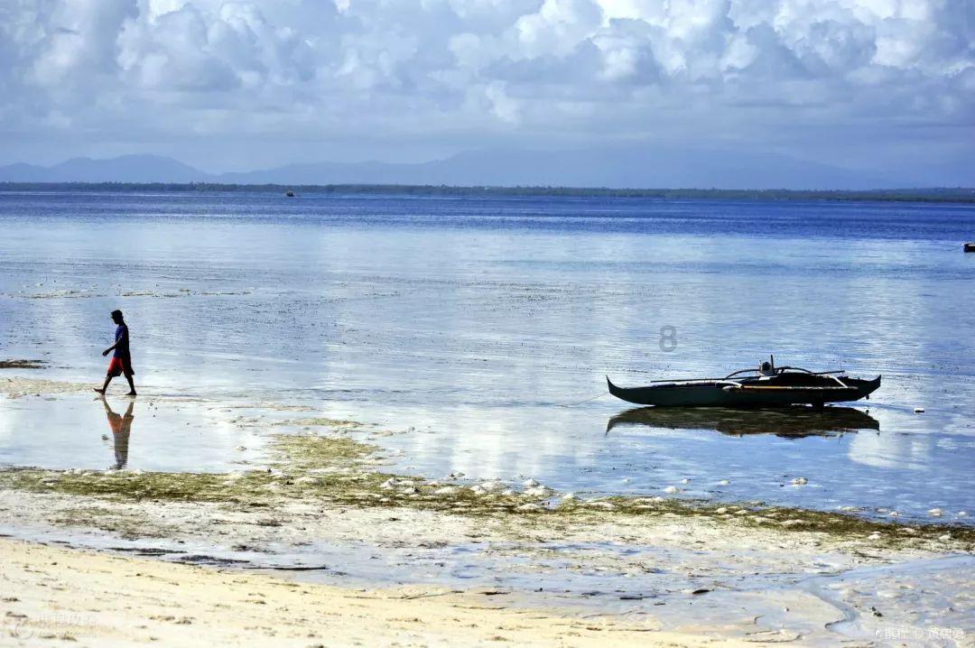青蟹、波龙、榴莲竞相登场，海关助力年货“抢鲜”通关