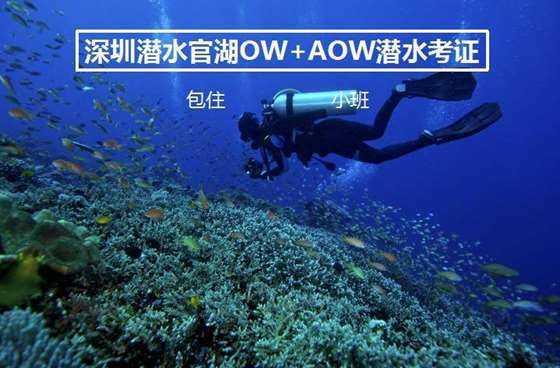 森迪公主夏日度假