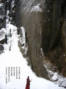 虫虫助手下载